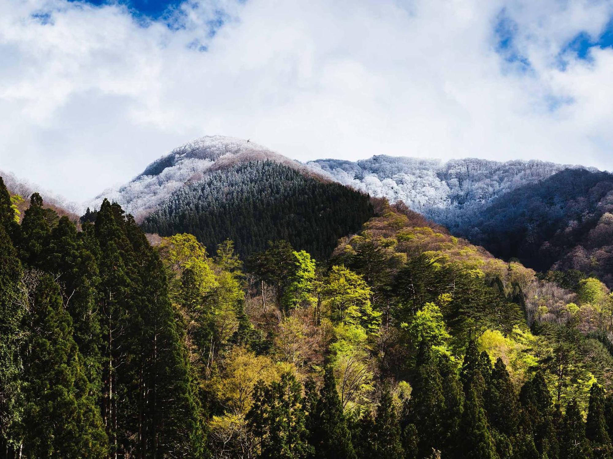 ザ・町家ホテル高山 エクステリア 写真